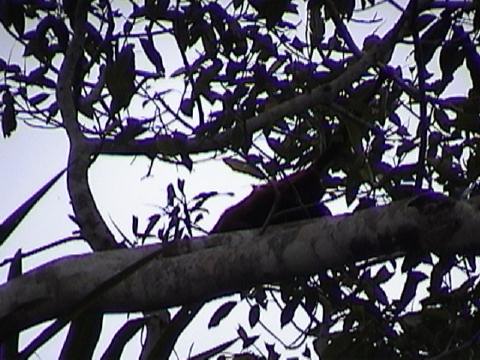 DSC00050
