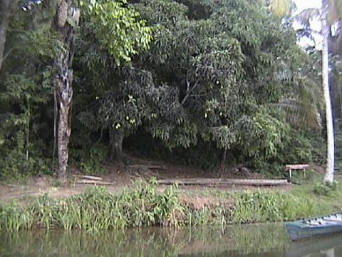 DSC00082