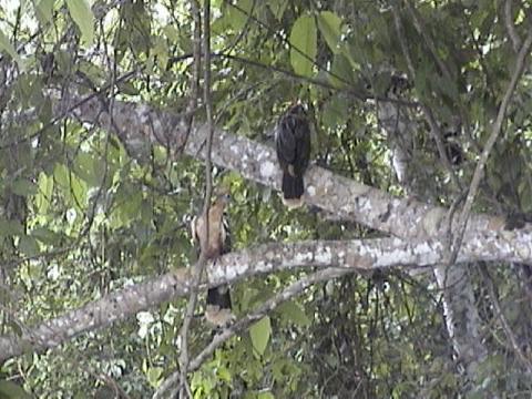 DSC00085