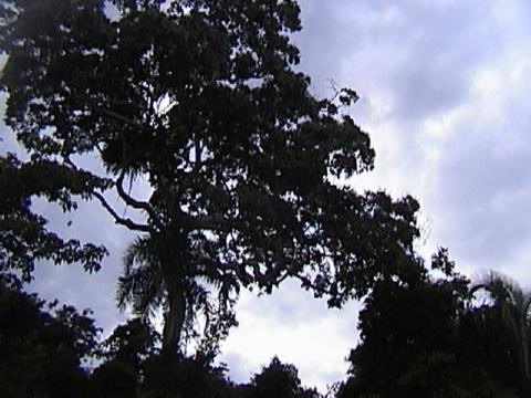 DSC00095