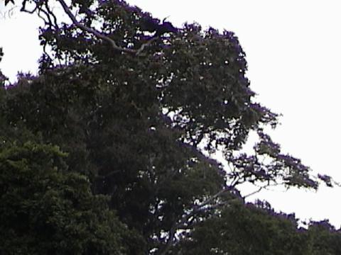 DSC00097