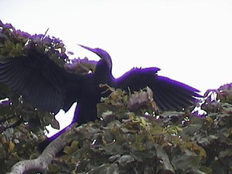 DSC00098