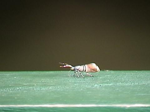DSC00109