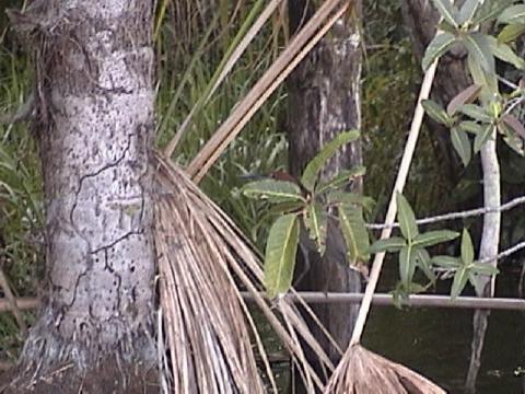 DSC00110