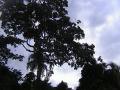 DSC00095