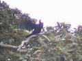 DSC00096
