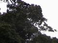DSC00097