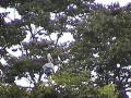 DSC00099