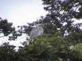 DSC00100