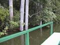 DSC00101