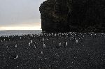 20111218_054418_7418