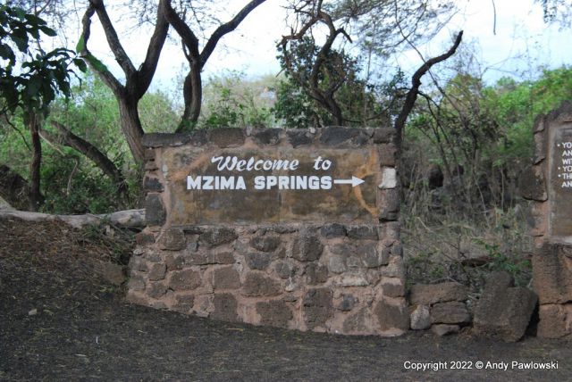 Printable Version of Mzima Springs - 20220716_175812_172